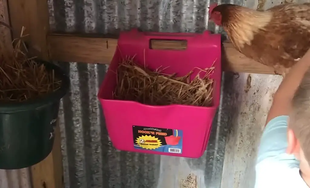 Feed Trough Nesting Box