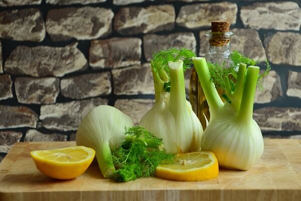 Fennel | 7 Perennial Herbs