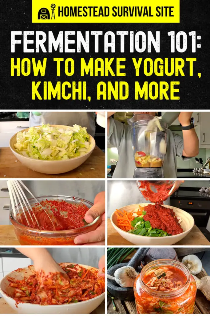 Fermentation 101: How to Make Yogurt, Sauerkraut, and More