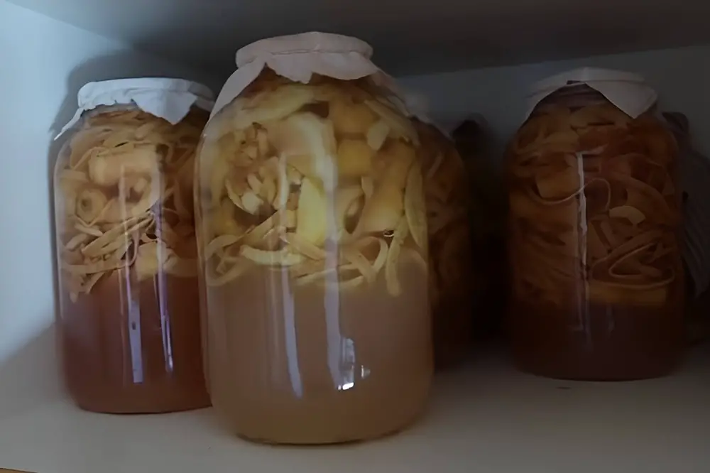 Fermenting in Cabinet