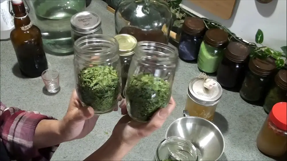 Filled Jars With Herbs