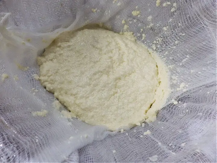 Filtered Curds