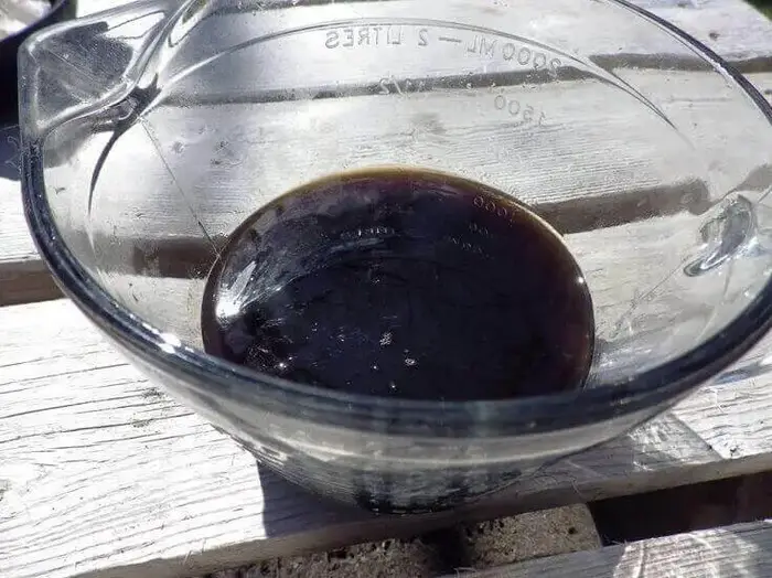 Filtered Sap Syrup
