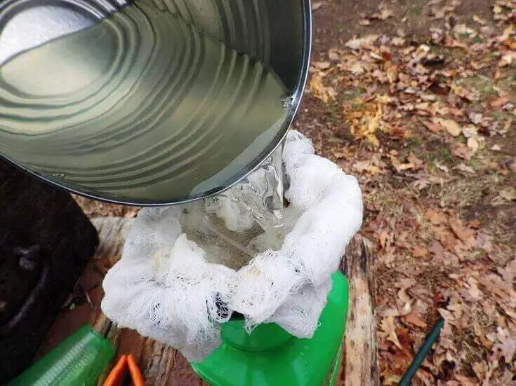 Filtering The Sap