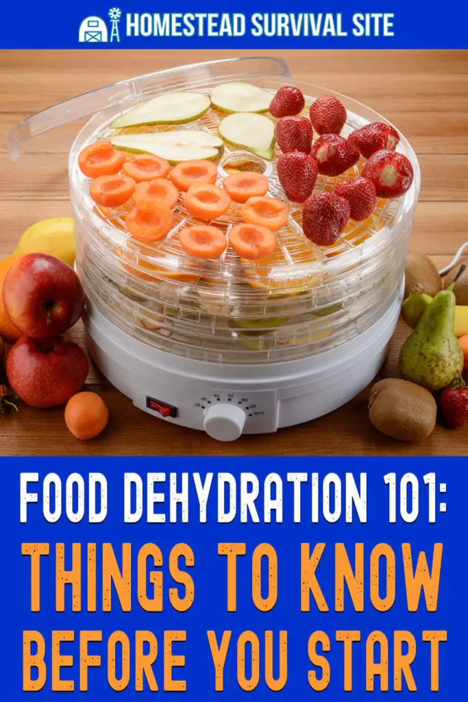 Food Dehydration 101: Things to Know Before You Start