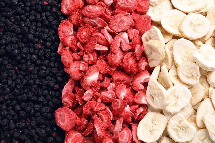 Freeze-Dried Fruits