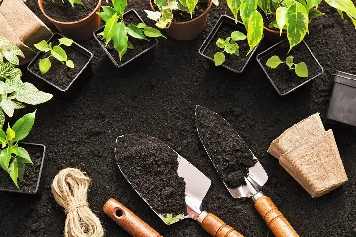 Gardening Tools Plants