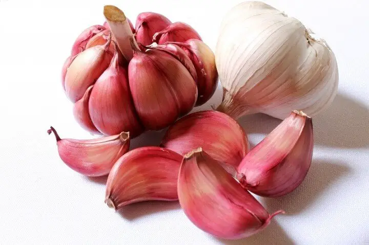 Garlic Cloves