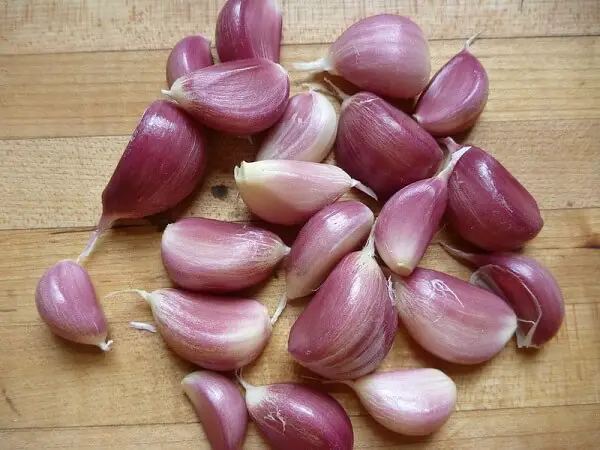 Garlic Cure