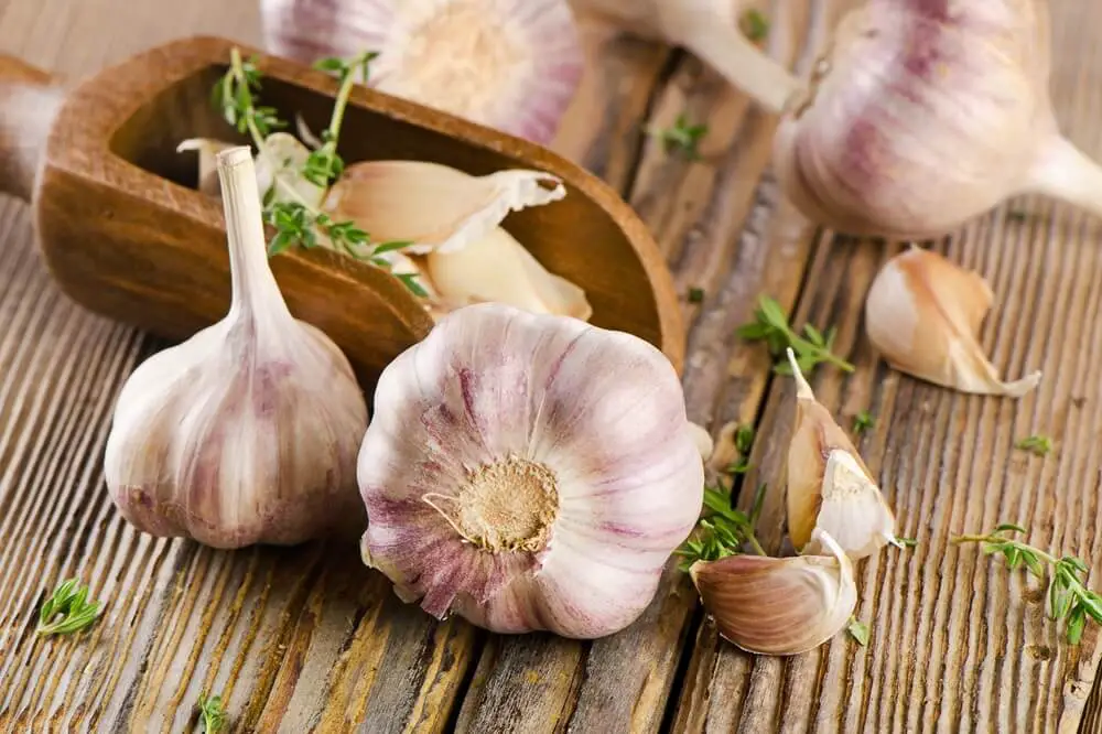 Garlic on Wooden Board