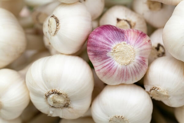 Garlic | Foods That Store Well in Root Cellars