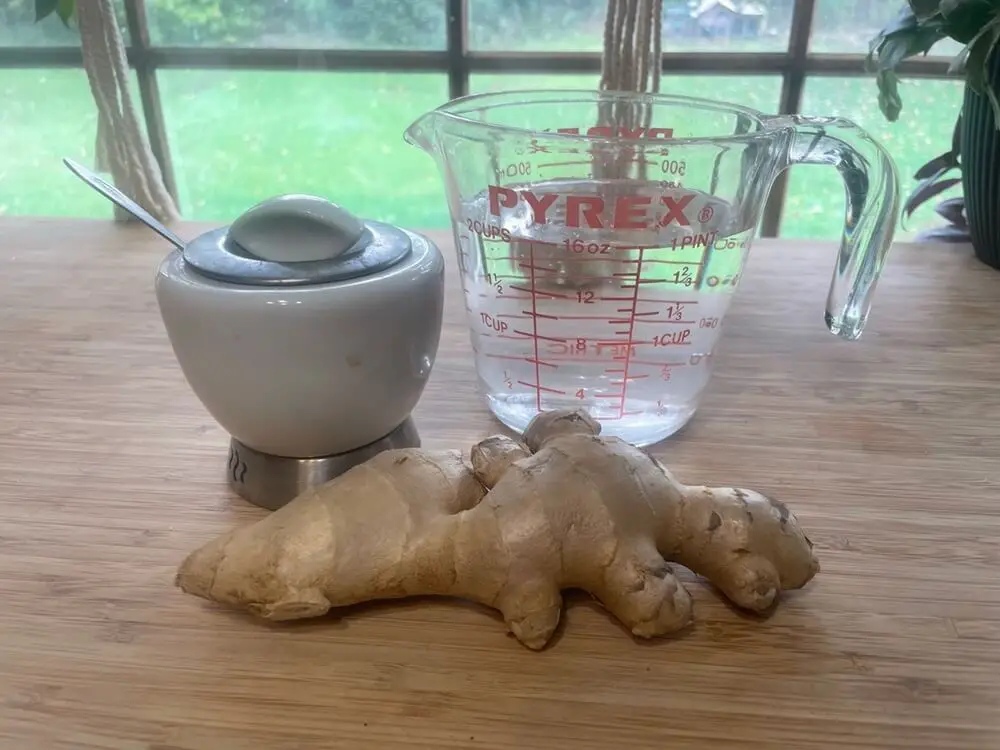 Ginger Root and Water