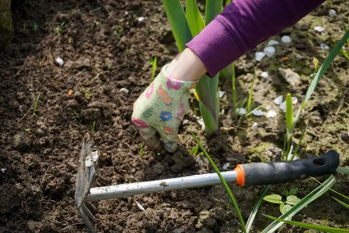 Girl Working In Garden