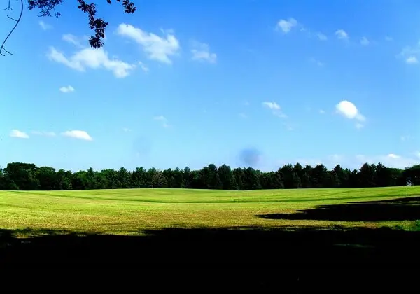 Green Field Under Blue Sky