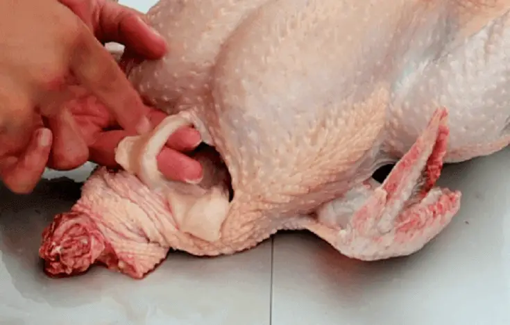 Gutting The Chicken