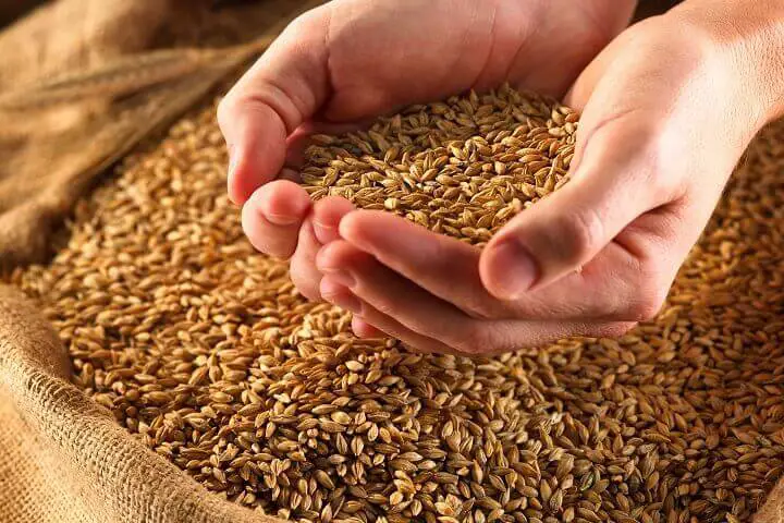 Hands Above Bag of Grain