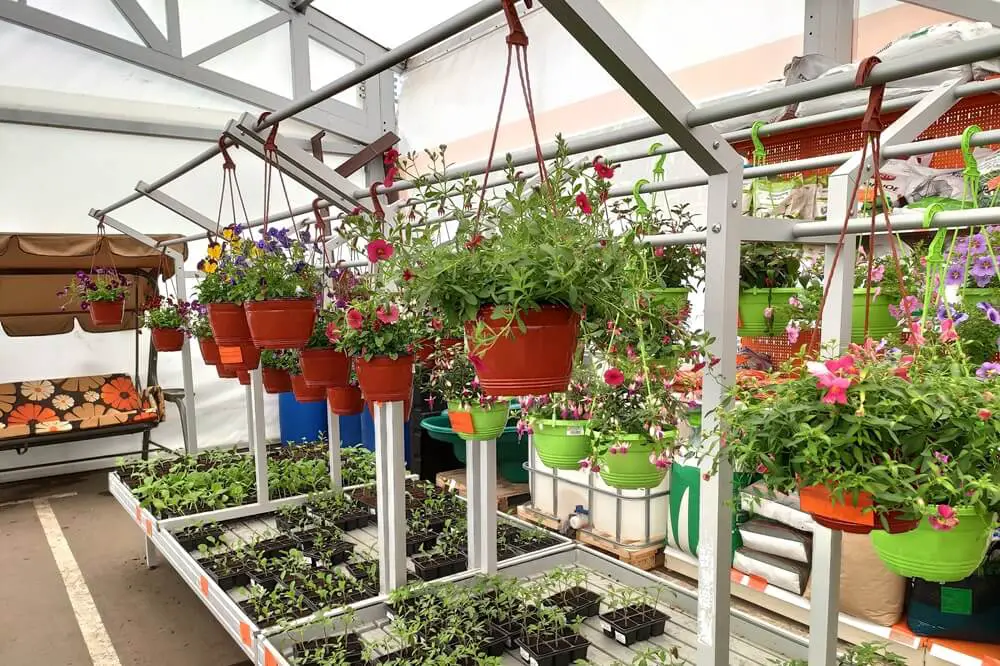 Hanging Planters in Nursery