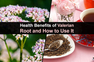 Health Benefits of Valerian Root and How to Use It