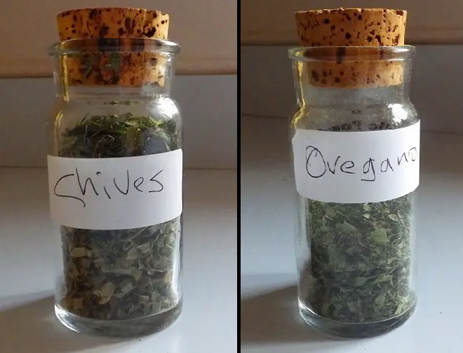 Herb Storage Chives & Oregano