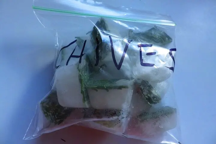 Herbed Ice Cubes Bagged