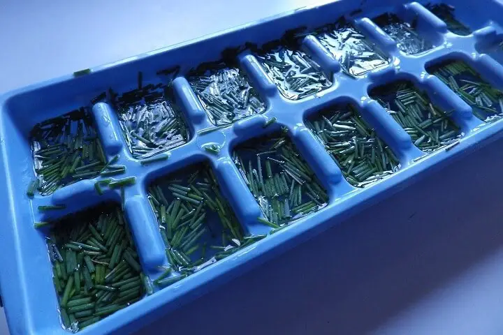 Herbs in Ice Cube Tray