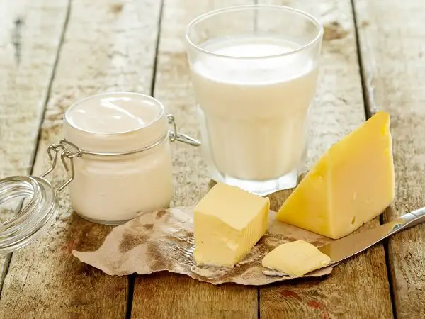 Homemade Dairy Products