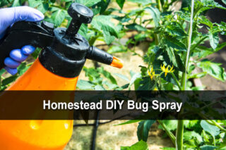 Homestead DIY Bug Spray