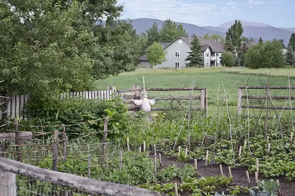 Homestead Garden