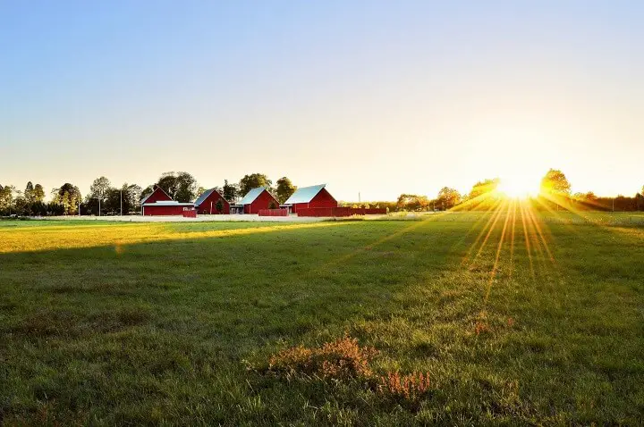 Homestead Red Outbuildings Sunrise