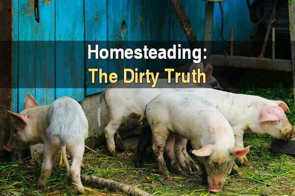 Homesteading: The Dirty Truth