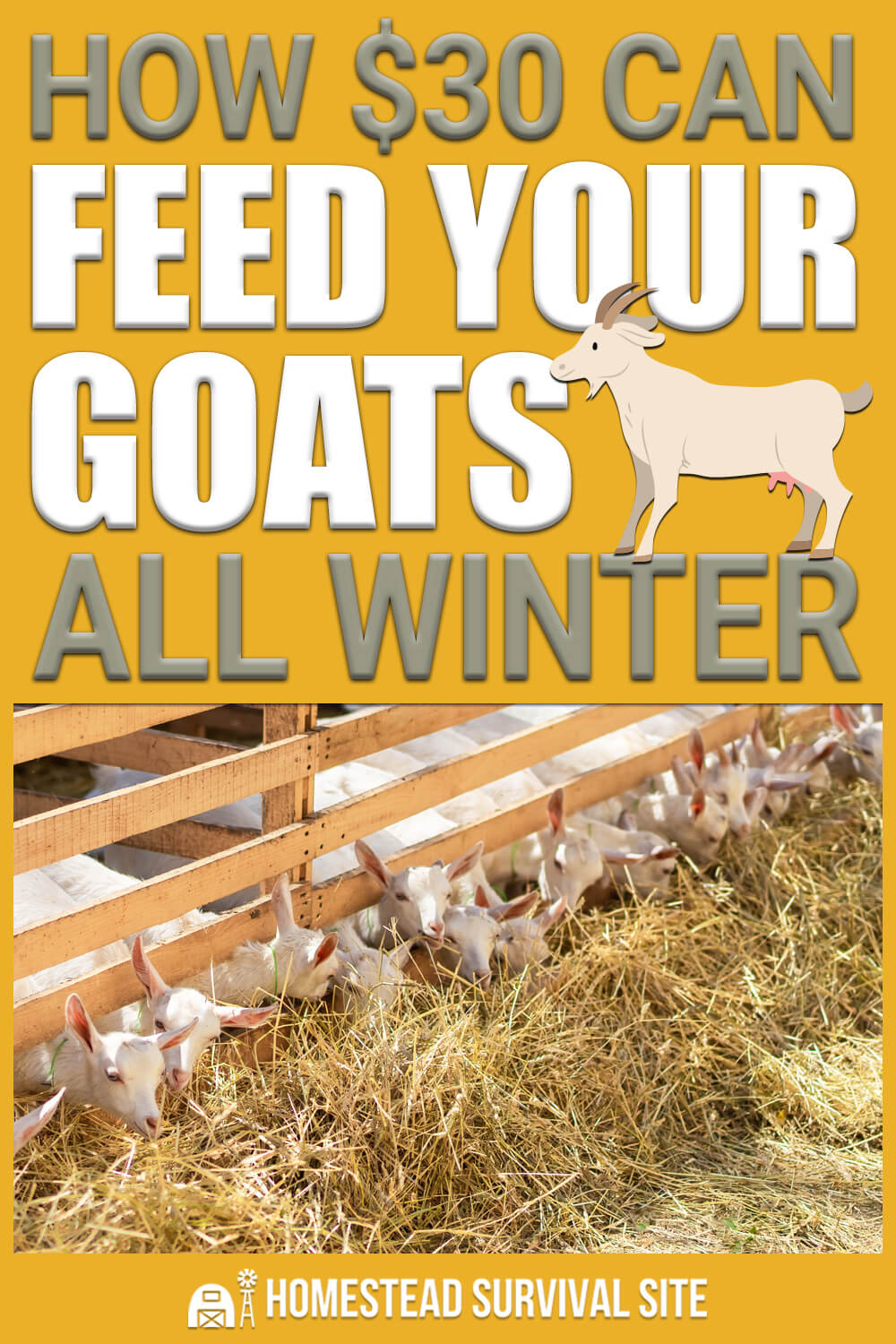 How $30 Can Feed Your Goats All Winter