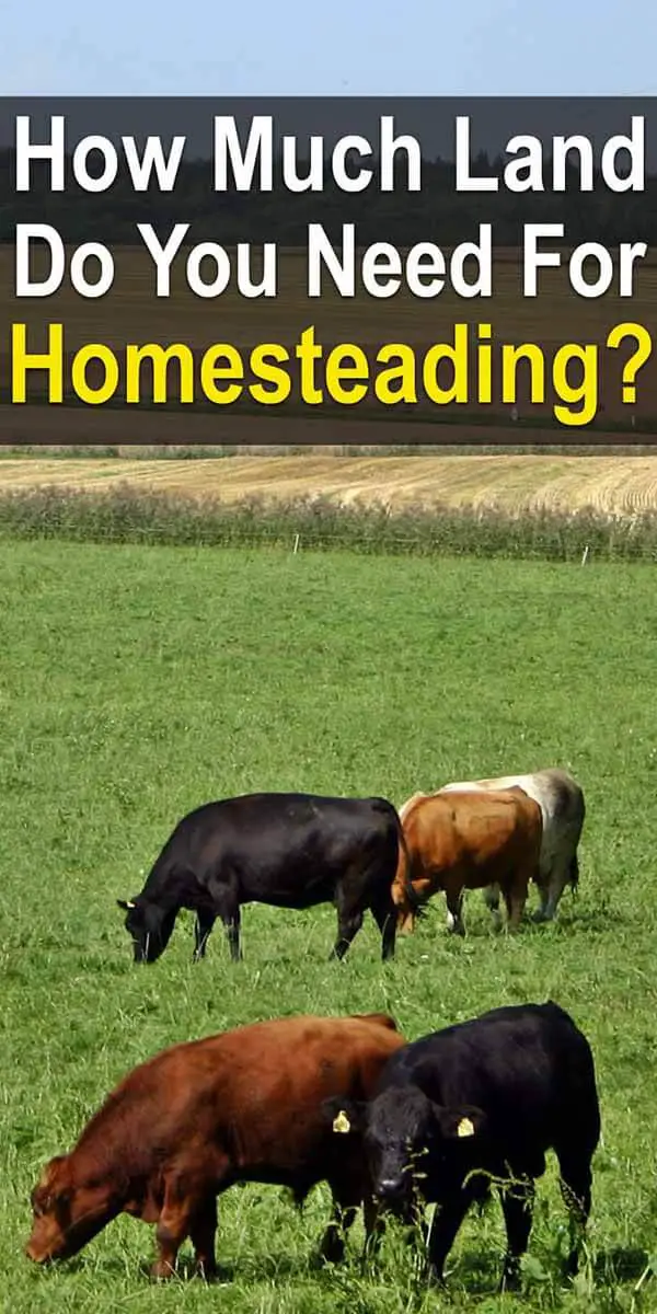 How Much Land Do You Need For Homesteading?