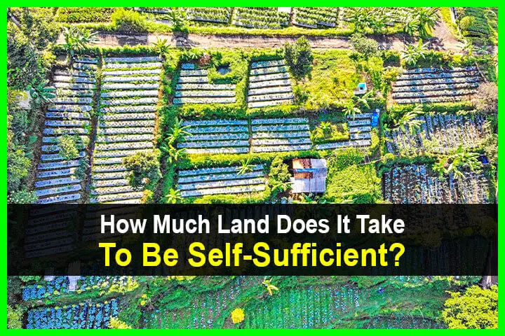 How Much Land Does It Take To Be Self-Sufficient?