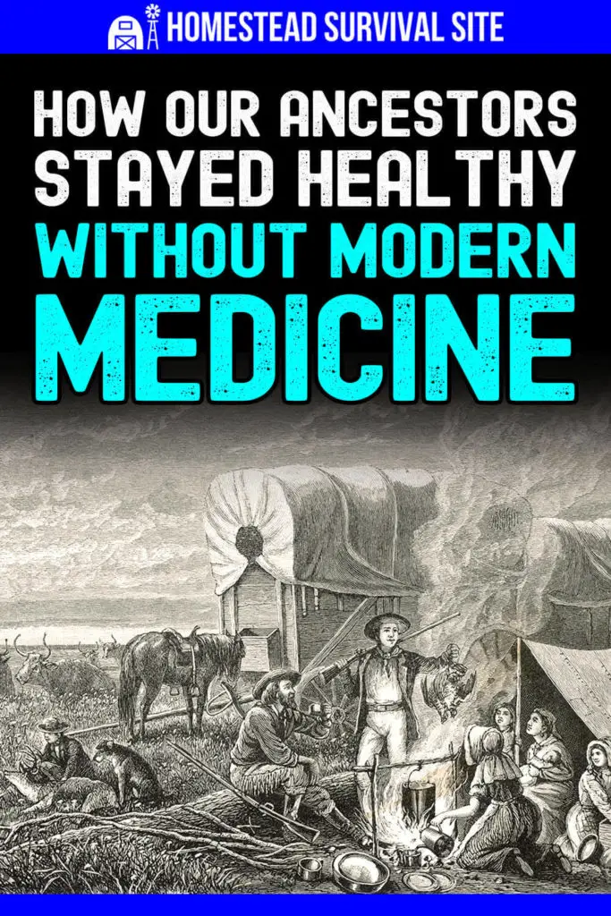 How Our Ancestors Stayed Healthy Without Modern Medicine