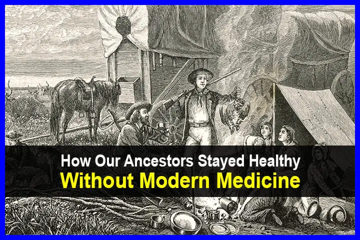 How Our Ancestors Stayed Healthy Without Modern Medicine