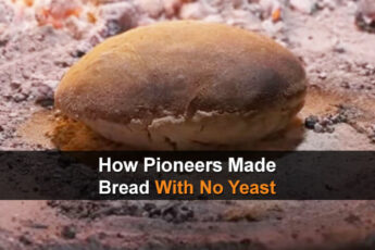 How Pioneers Made Bread With No Yeast