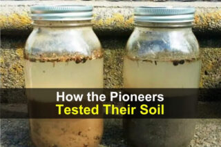 How Pioneers Tested Their Soil