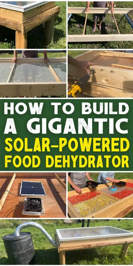 How to Build a Gigantic Solar-Powered Food Dehydrator