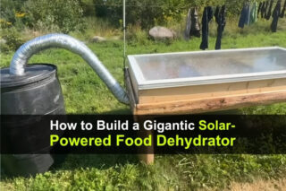 How to Build a Gigantic Solar-Powered Food Dehydrator