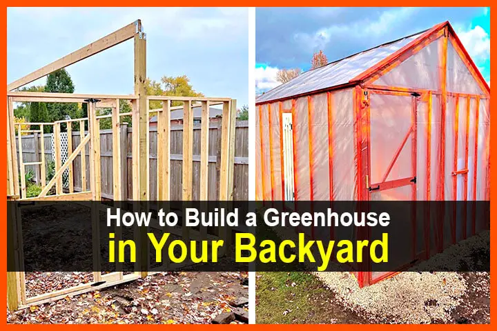 How to Build a Greenhouse in Your Backyard
