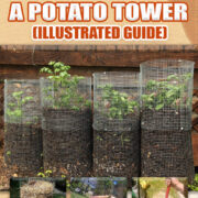 Pinterest Hidden Image