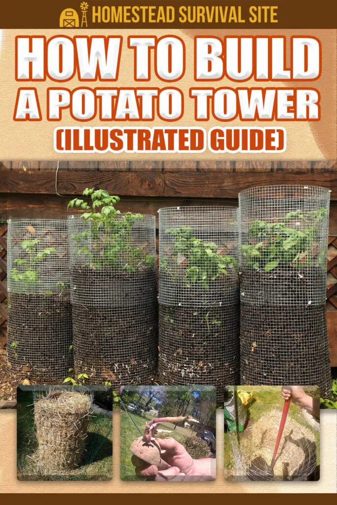 How to Build a Potato Tower (Illustrated Guide)