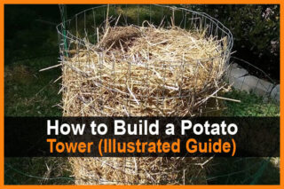How to Build a Potato Tower (Illustrated Guide)