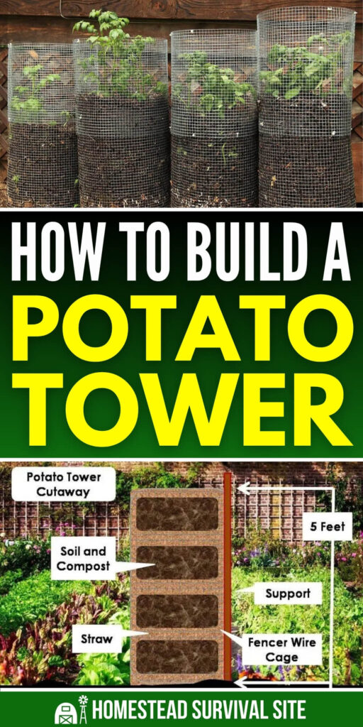 How to Build a Potato Tower
