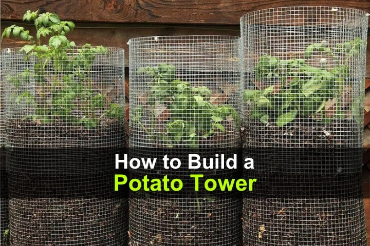 How to Build a Potato Tower