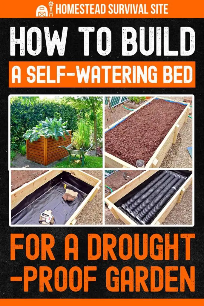 How to Build a Self-Watering "Wicking Bed" for a Drought-Proof Garden