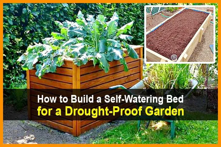 How to Build a Self-Watering "Wicking Bed" for a Drought-Proof Garden