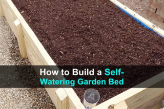 How to Build a Self-Watering Garden Bed