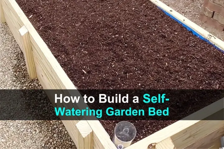 How to Build a Self-Watering Garden Bed