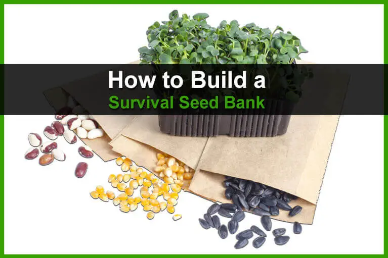How to Build a Survival Seed Bank